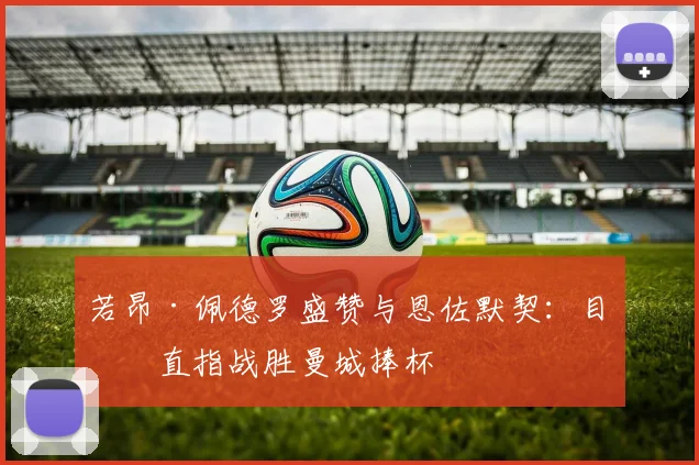 若昂·佩德罗盛赞与恩佐默契：目标直指战胜曼城捧杯