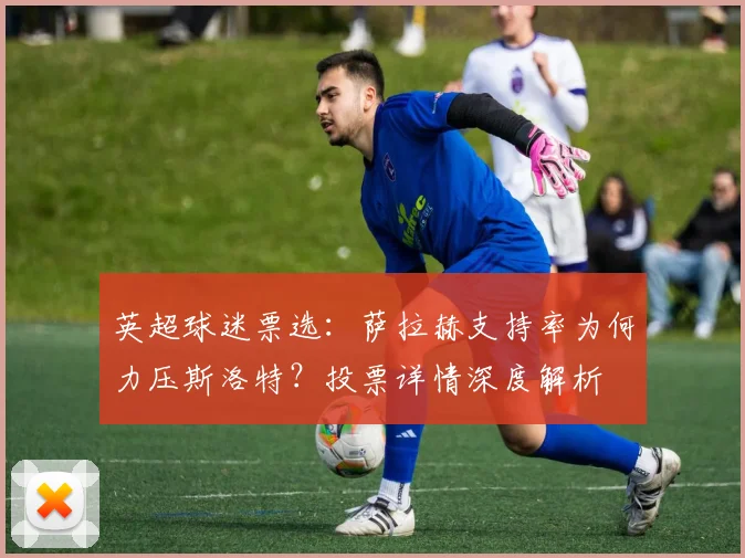 英超球迷票选：萨拉赫支持率为何力压斯洛特？投票详情深度解析