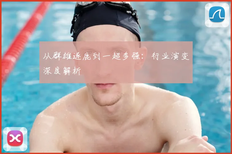 从群雄逐鹿到一超多强：行业演变深度解析