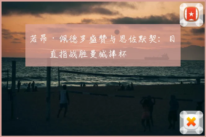 若昂·佩德罗盛赞与恩佐默契：目标直指战胜曼城捧杯