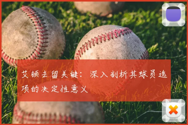 艾顿去留关键：深入剖析其球员选项的决定性意义